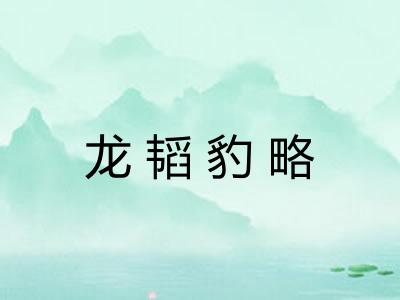 龙韬豹略 龙韬豹略