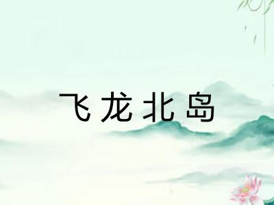 飞龙北岛 飞龙北岛