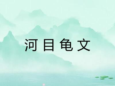 河目龟文 河目龟文