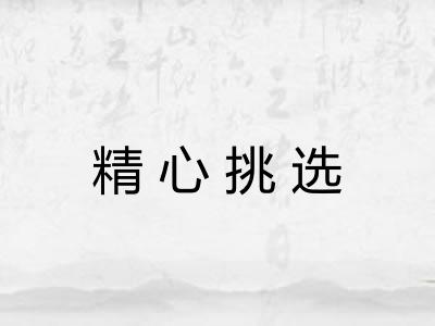 精心挑选