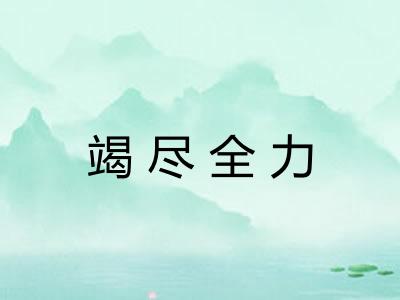 竭尽全力 竭尽全力