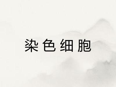 染色细胞 染色细胞