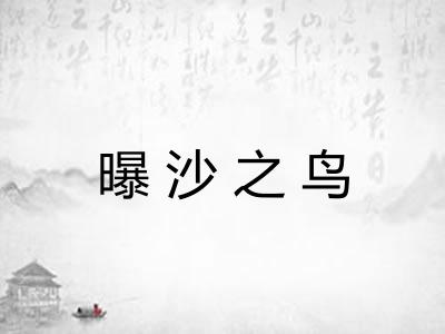 曝沙之鸟 曝沙之鸟