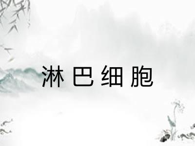 淋巴细胞 淋巴细胞