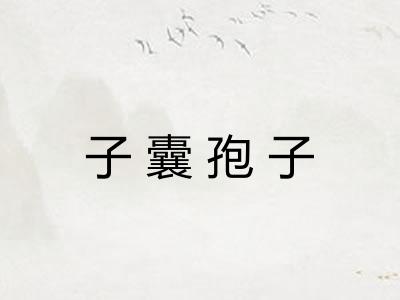 子囊孢子