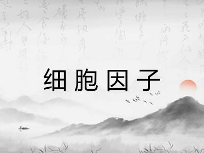 细胞因子 细胞因子