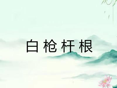 白枪杆根