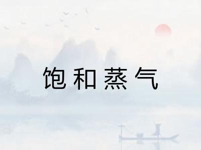 饱和蒸气 饱和蒸气