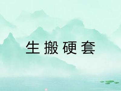 生搬硬套 生搬硬套