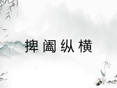 捭阖纵横 捭阖纵横