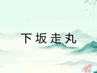 下坂走丸 下坂走丸