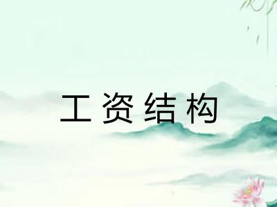 工资结构 工资结构