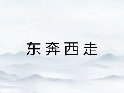 东奔西走