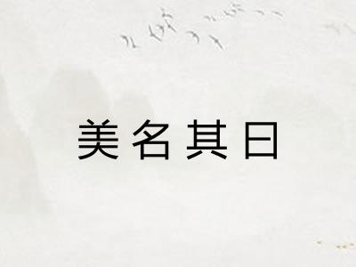 美名其曰 美名其曰