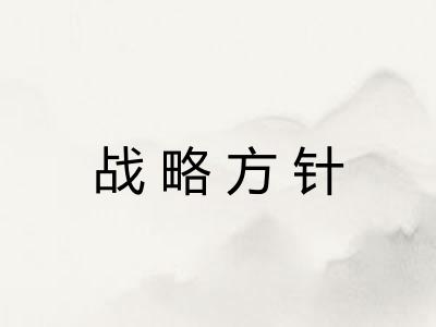 战略方针 战略方针