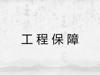 工程保障 工程保障