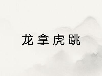 龙拿虎跳 龙拿虎跳