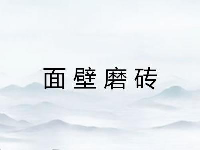 面壁磨砖 面壁磨砖