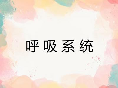 呼吸系统 呼吸系统