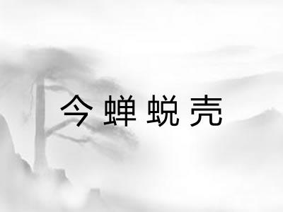 今蝉蜕壳 今蝉蜕壳
