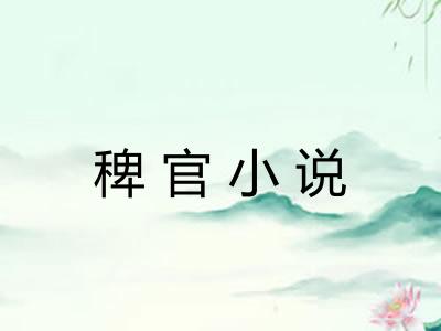 稗官小说 稗官小说