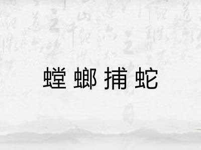 螳螂捕蛇 螳螂捕蛇