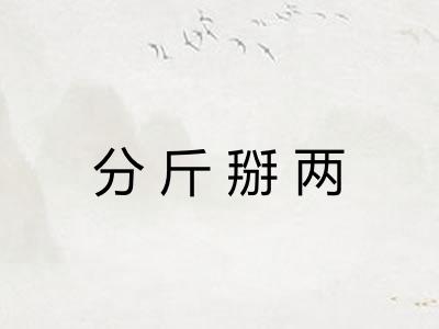分斤掰两