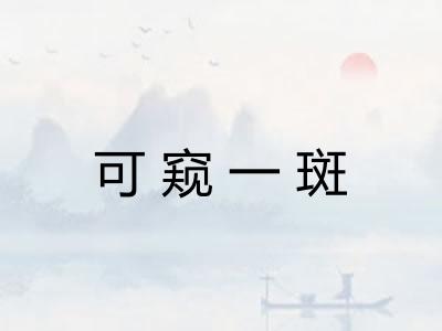 可窥一斑