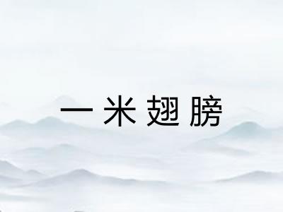 一米翅膀 一米翅膀