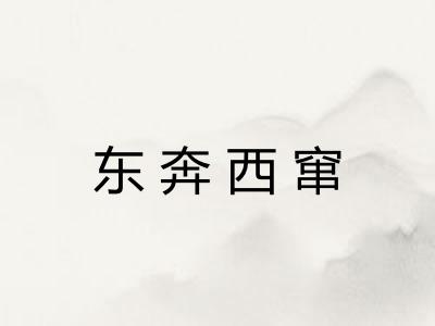 东奔西窜 东奔西窜