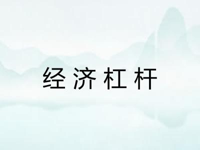 经济杠杆 经济杠杆