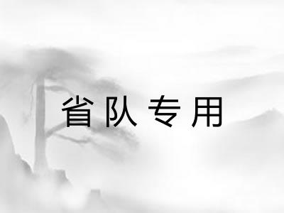省队专用