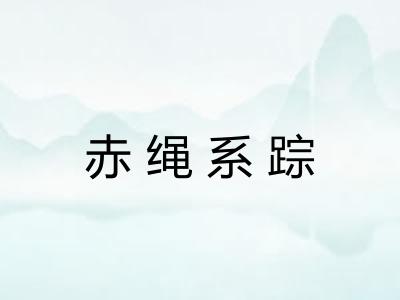 赤绳系踪