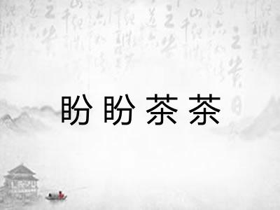 盼盼茶茶 盼盼茶茶