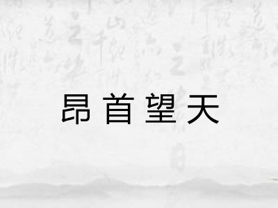 昂首望天 昂首望天