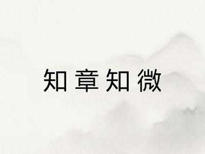 知章知微