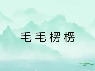 毛毛楞楞 毛毛楞楞