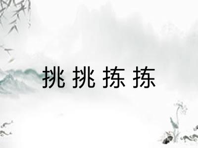挑挑拣拣