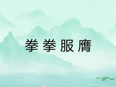 拳拳服膺