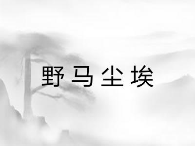 野马尘埃