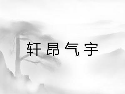 轩昂气宇
