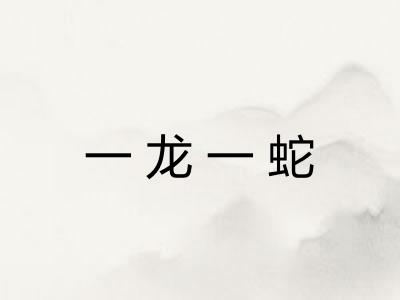 一龙一蛇 一龙一蛇