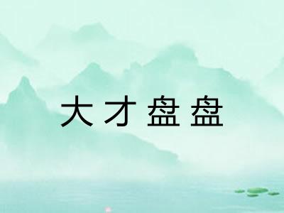 大才盘盘