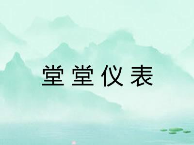 堂堂仪表