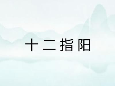 十二指阳 十二指阳