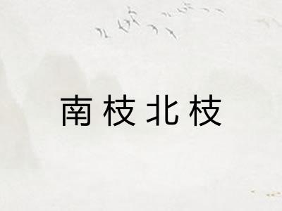 南枝北枝 南枝北枝