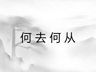 何去何从 何去何从