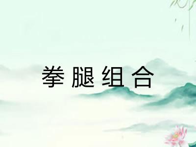 拳腿组合