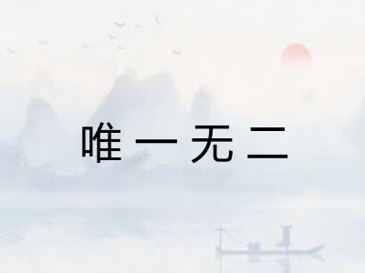 唯一无二 唯一无二