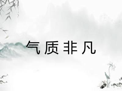 气质非凡 气质非凡